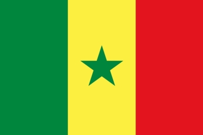 Сенегал: стремительное развитие и вызовы современности